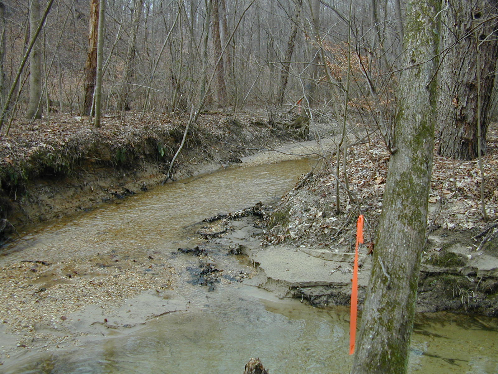 Field photo showing stream conditions at site PTOB-106-R-2003-711