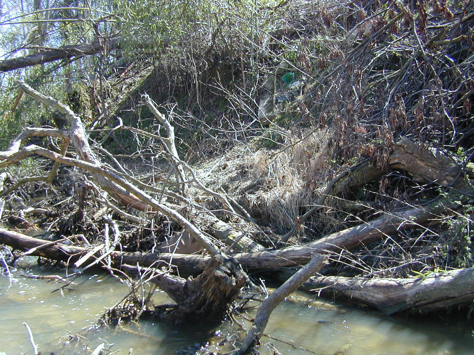Field photo showing stream conditions at site PTOB-108-R-2003-725