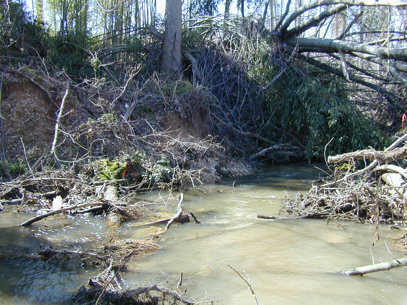 Field photo showing stream conditions at site PTOB-108-R-2003-726