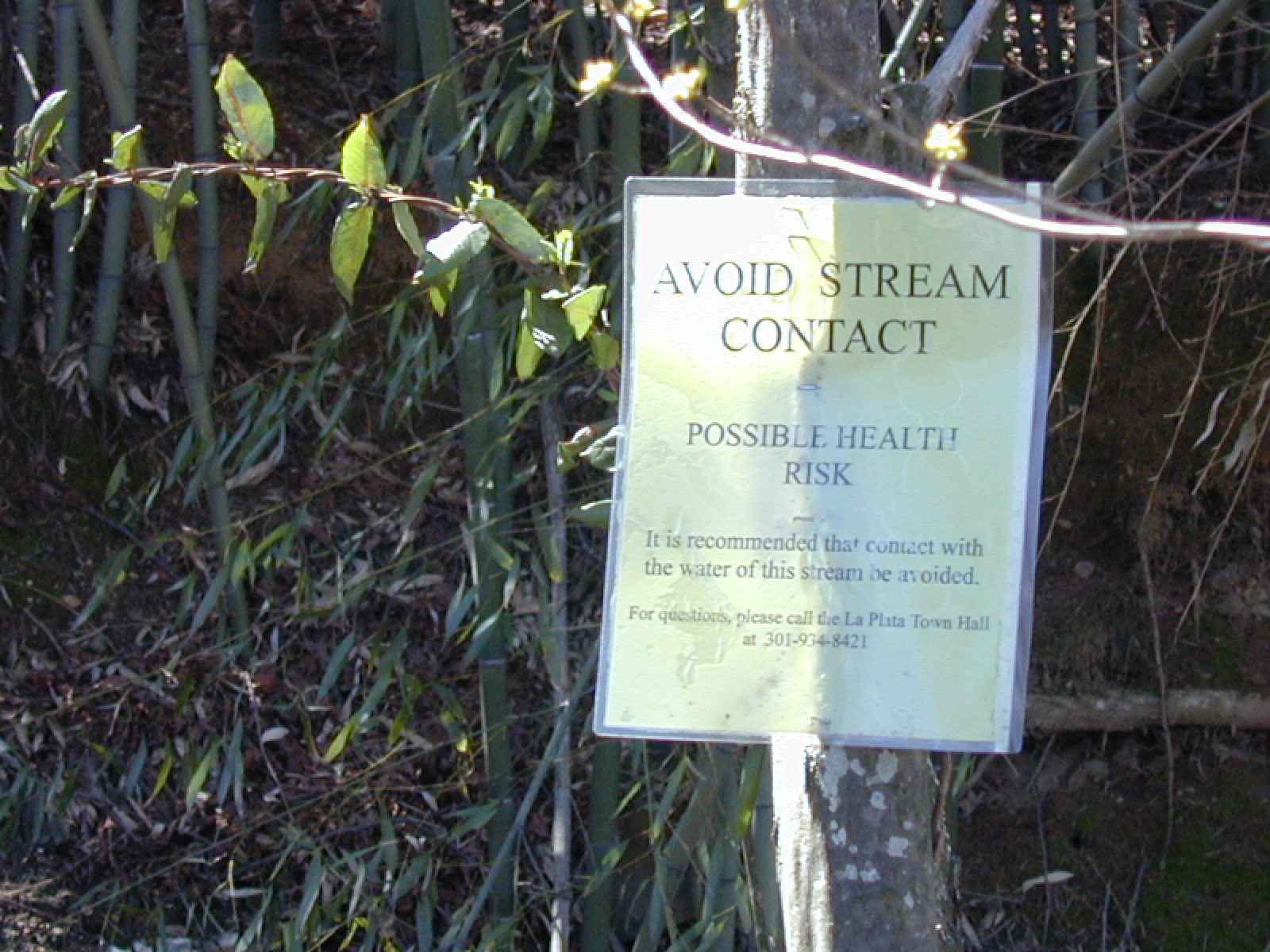 Field photo showing stream conditions at site PTOB-108-R-2003-727