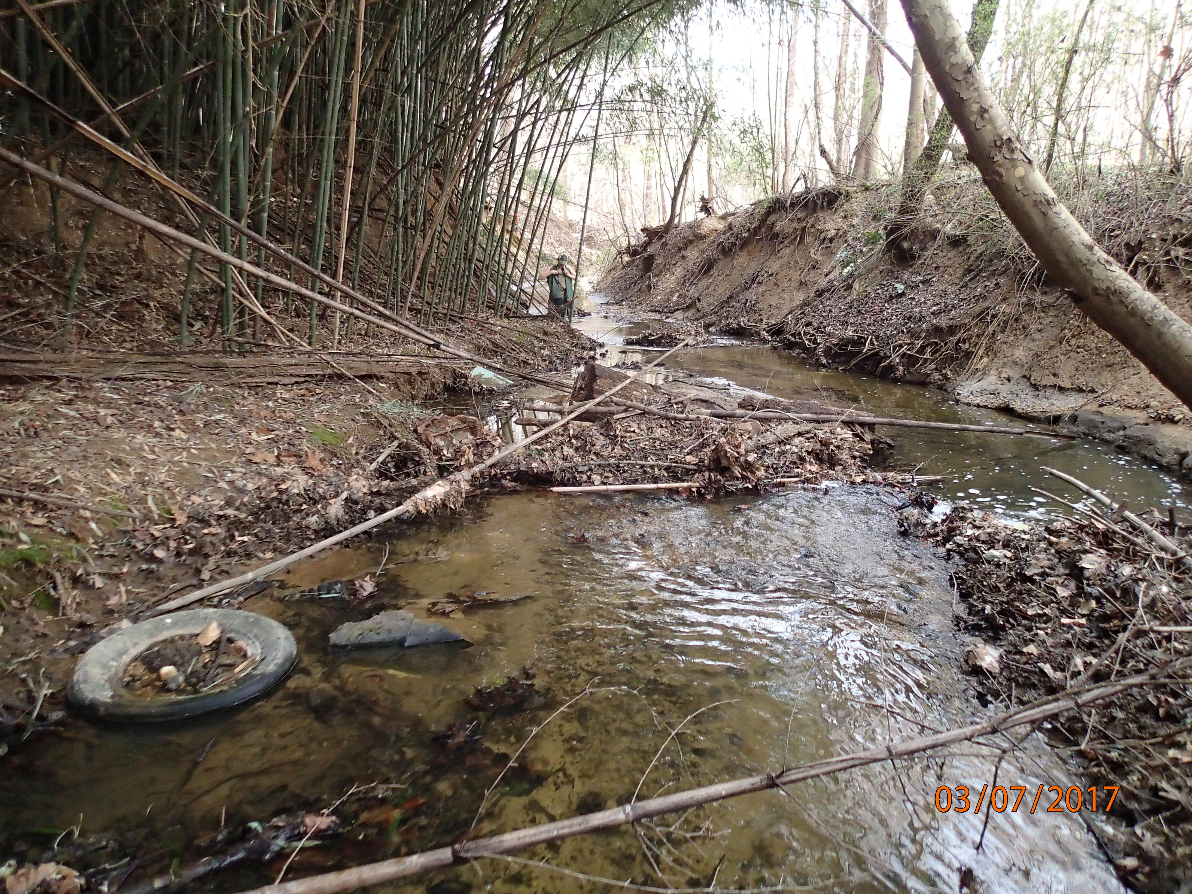 Field photo showing stream conditions at site PTOB-108-R-2017-MidpointDownstream