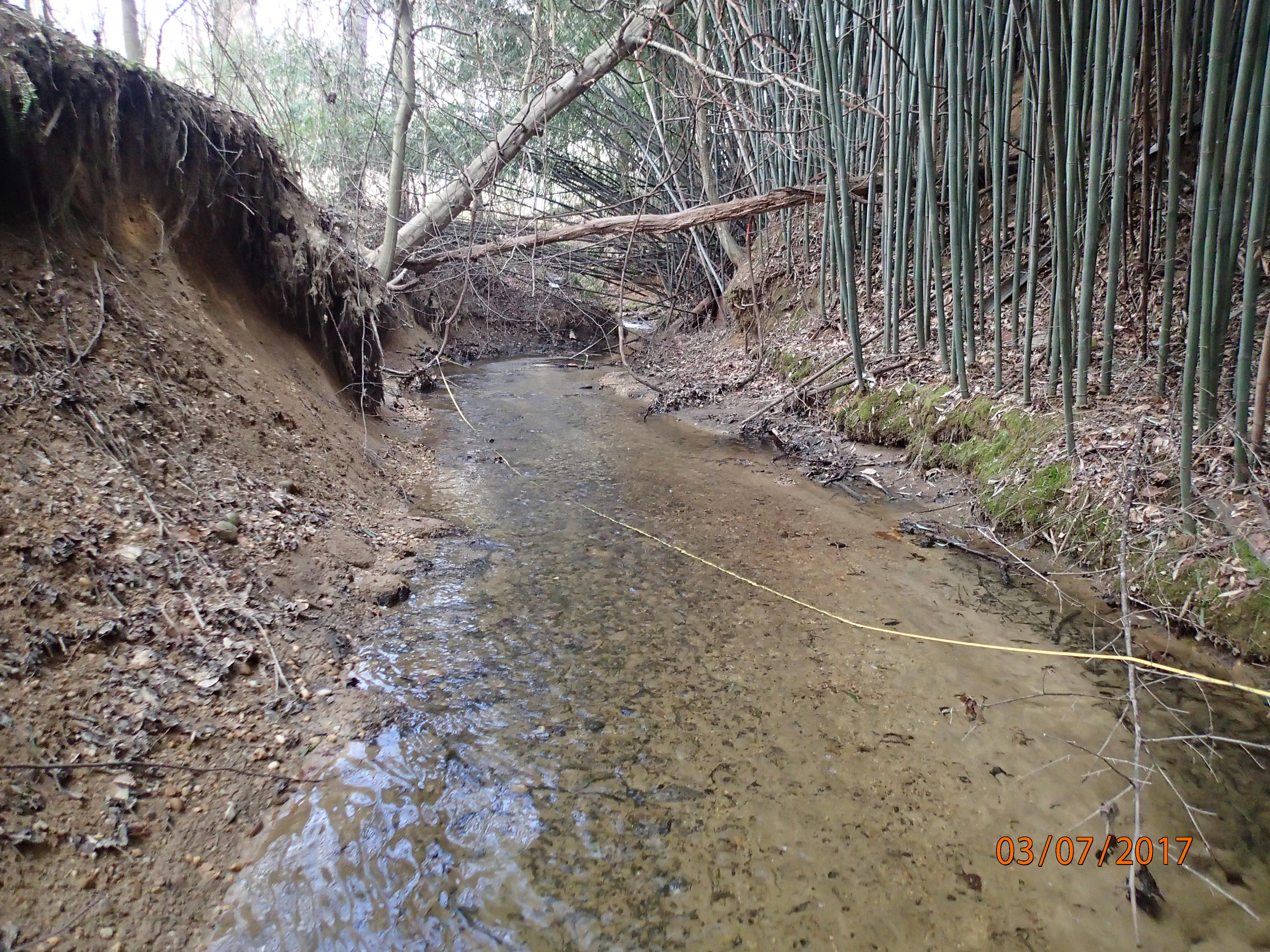 Field photo showing stream conditions at site PTOB-108-R-2017-MidpointUpstream
