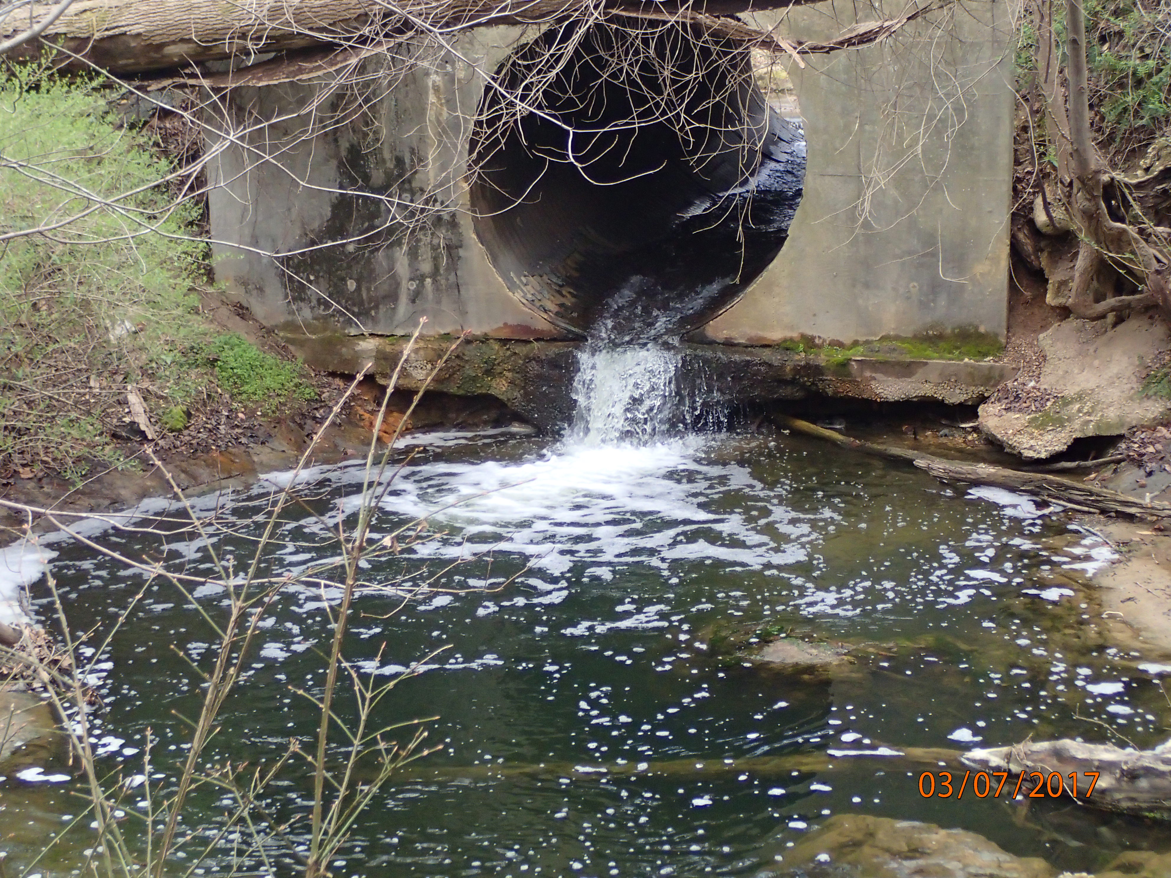 Field photo showing stream conditions at site PTOB-108-R-2017-PerchedCulvert