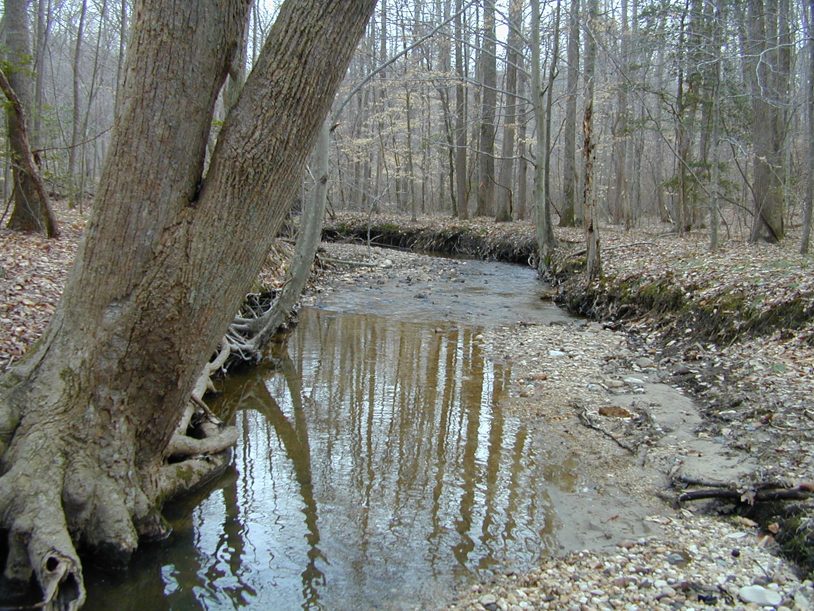 Field photo showing stream conditions at site PTOB-109-R-2003-715