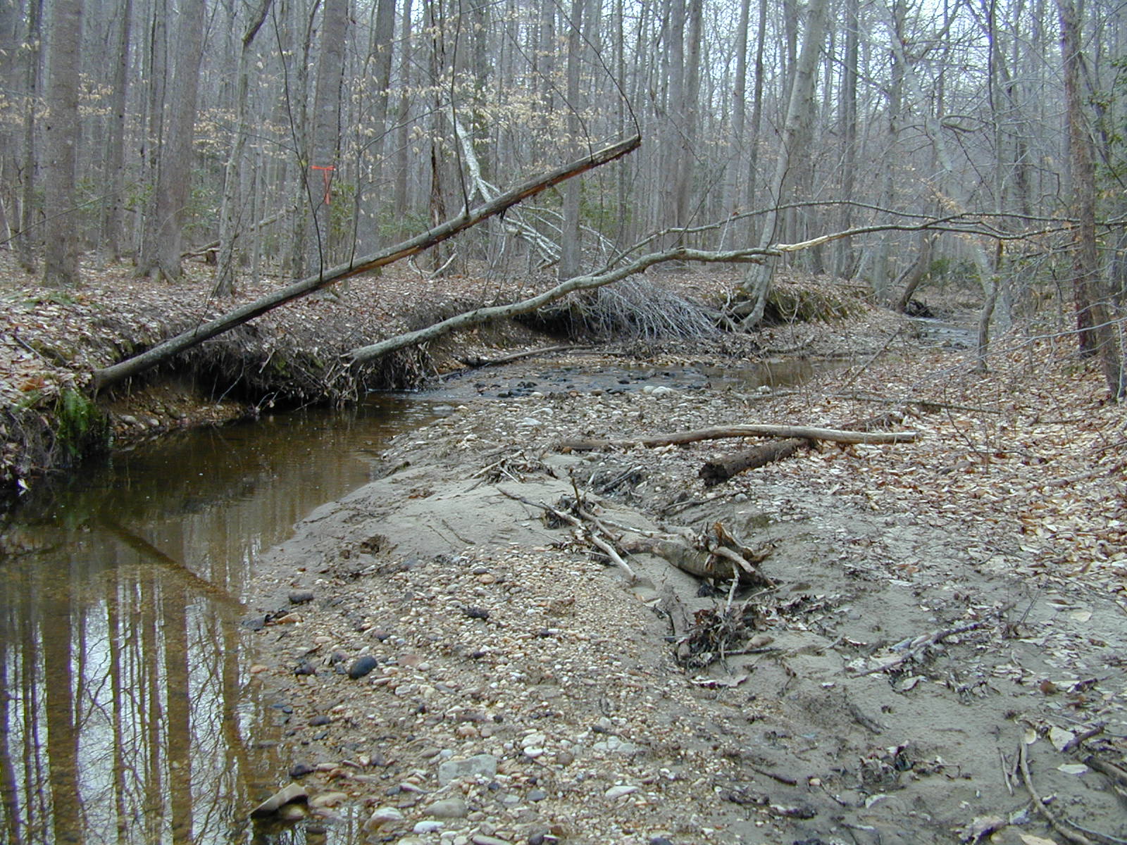 Field photo showing stream conditions at site PTOB-109-R-2003-716