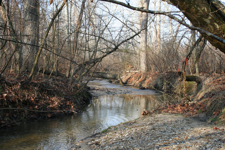 Field photo showing stream conditions at site PTOB-111-R-2008-1