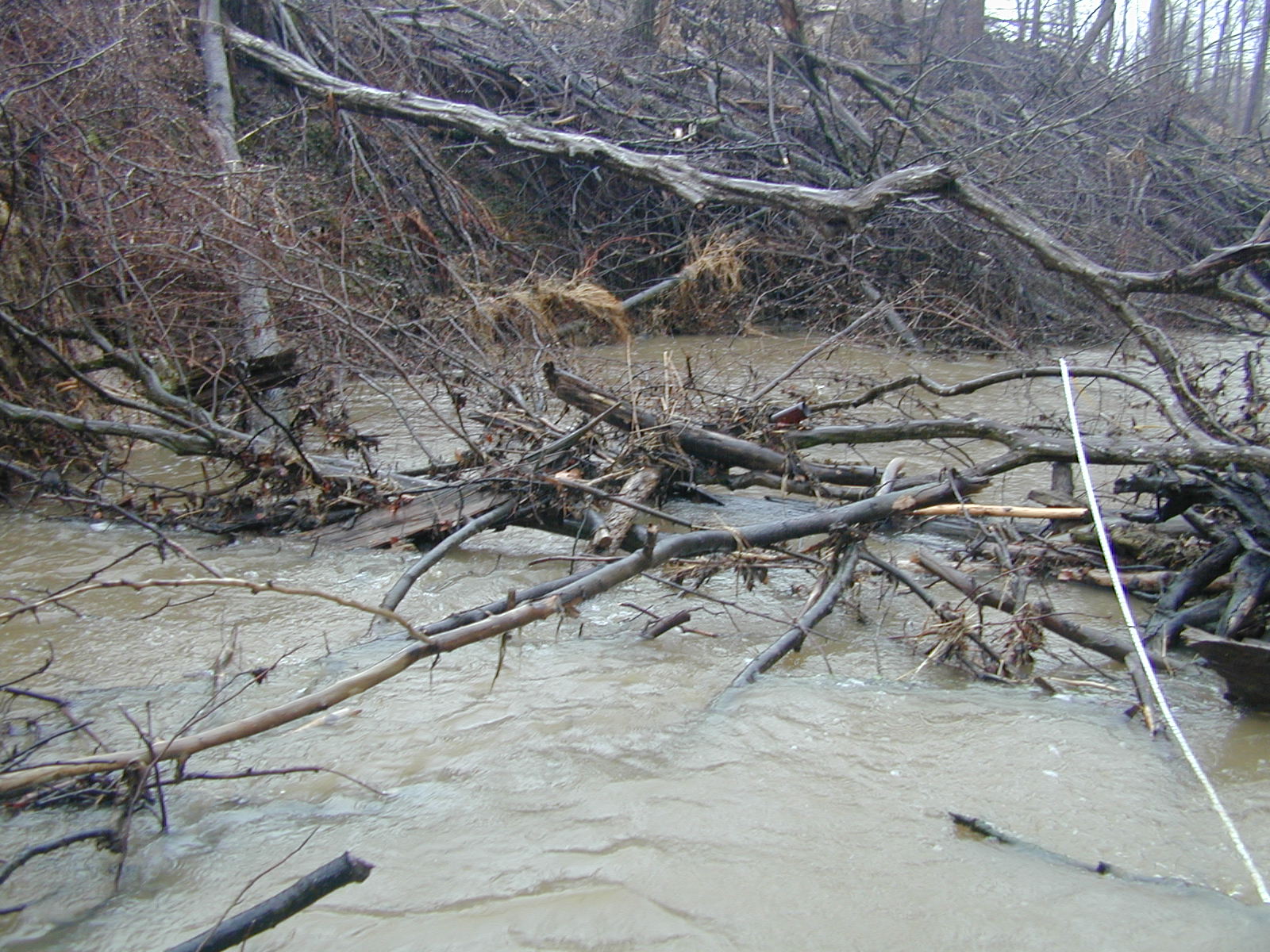 Field photo showing stream conditions at site PTOB-112-R-2003-721