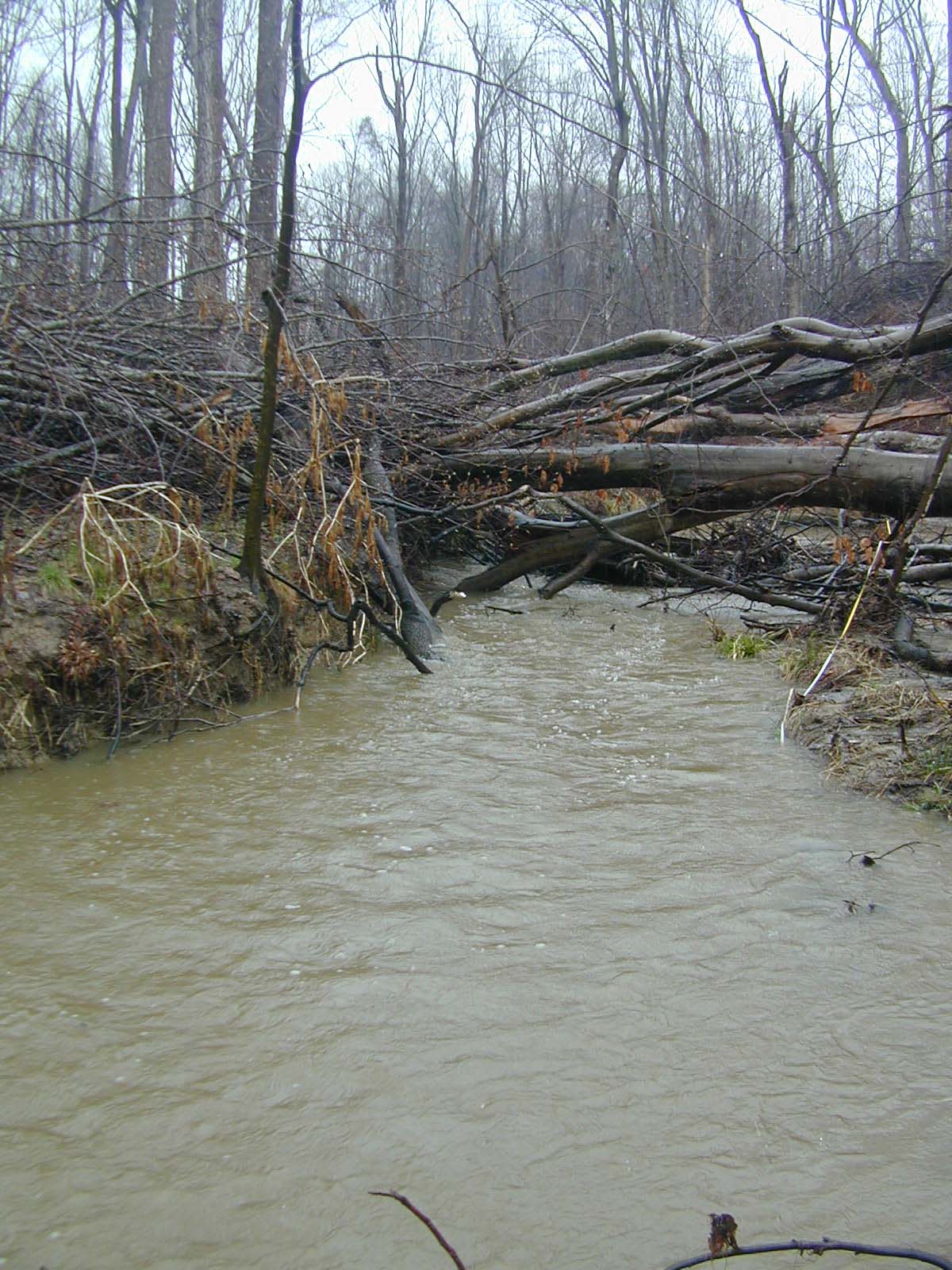Field photo showing stream conditions at site PTOB-112-R-2003-722