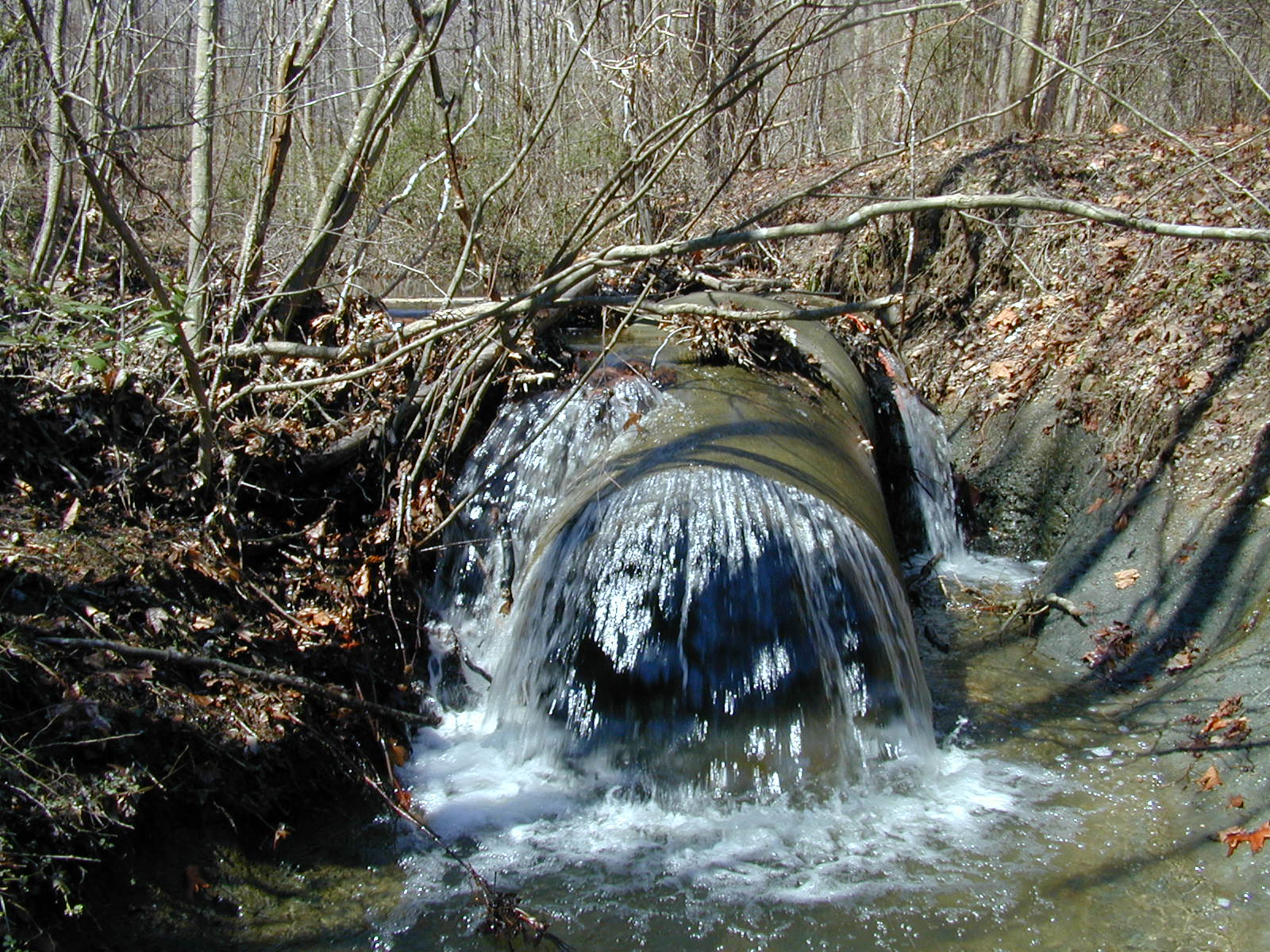 Field photo showing stream conditions at site PTOB-113-R-2003-728