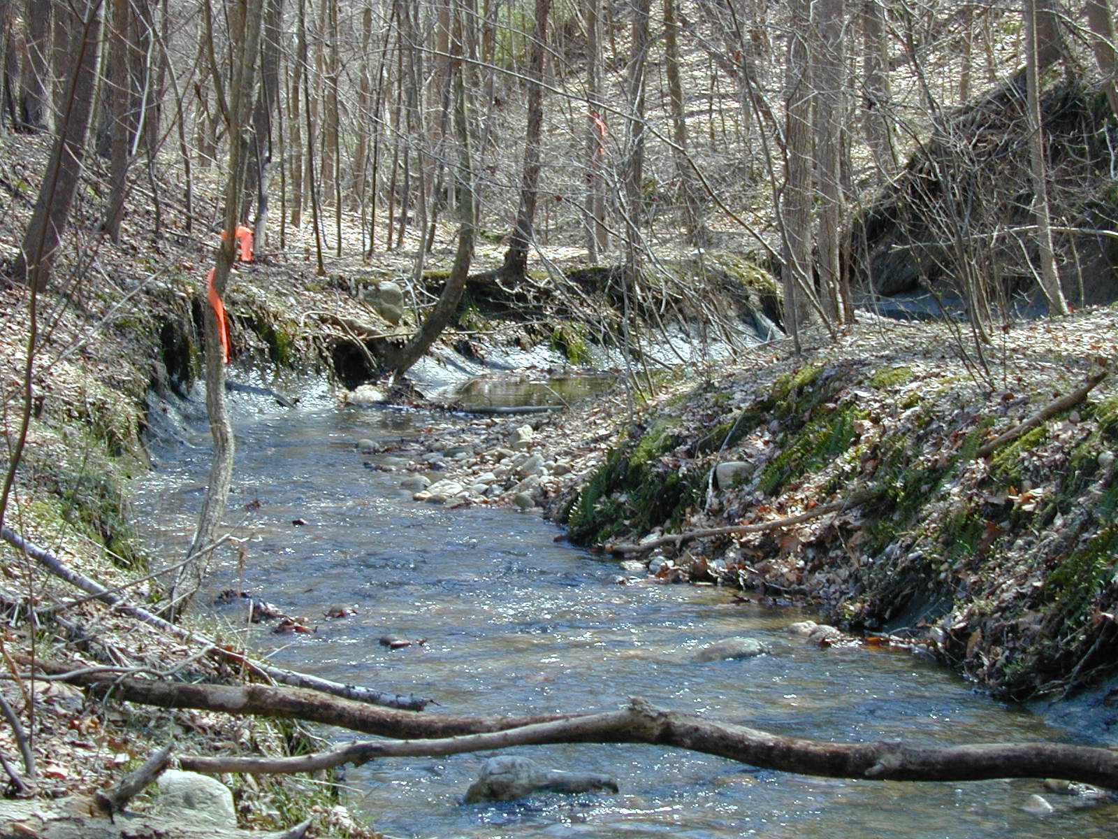 Field photo showing stream conditions at site PTOB-113-R-2003-729