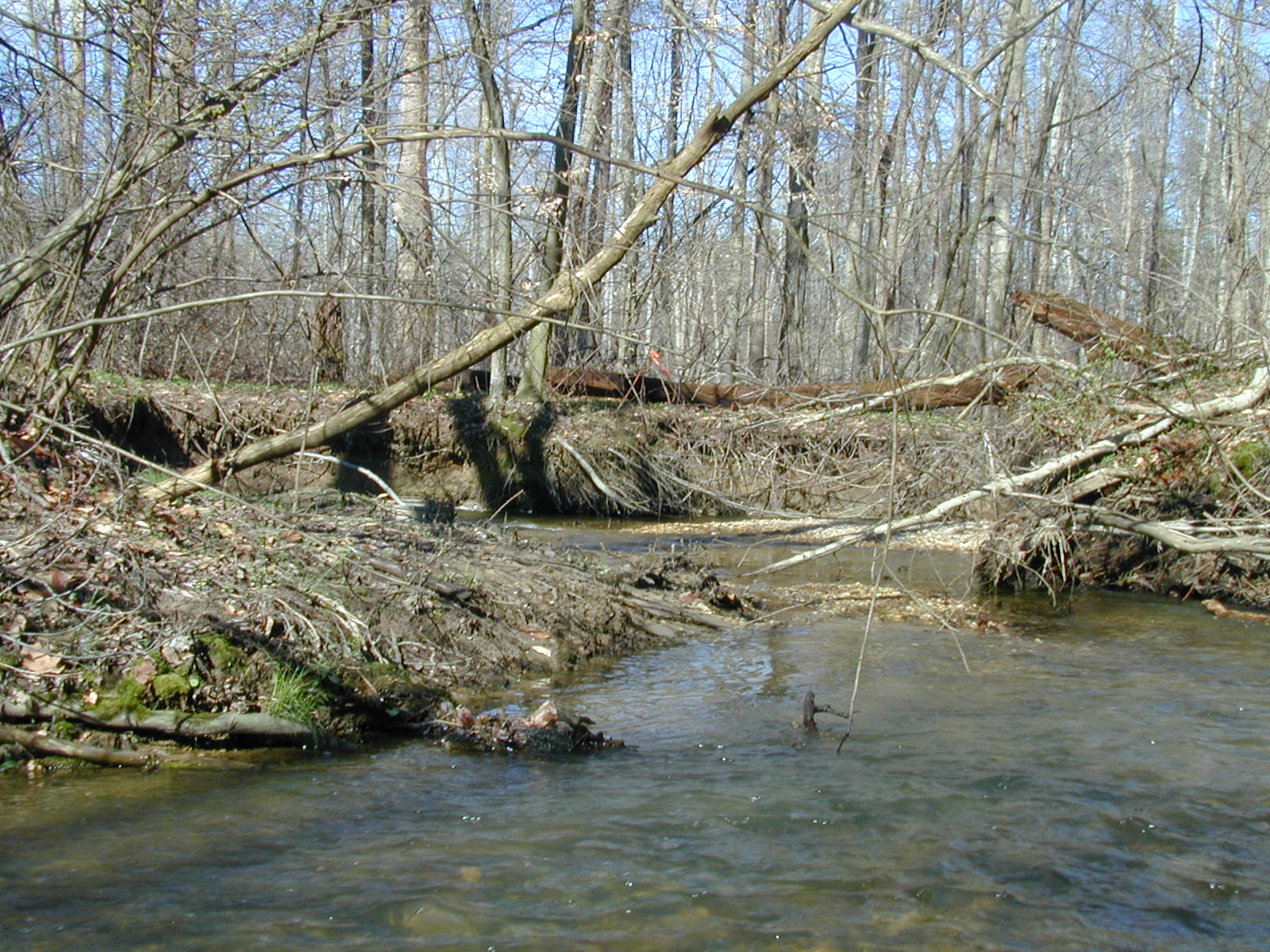 Field photo showing stream conditions at site PTOB-119-R-2003-724
