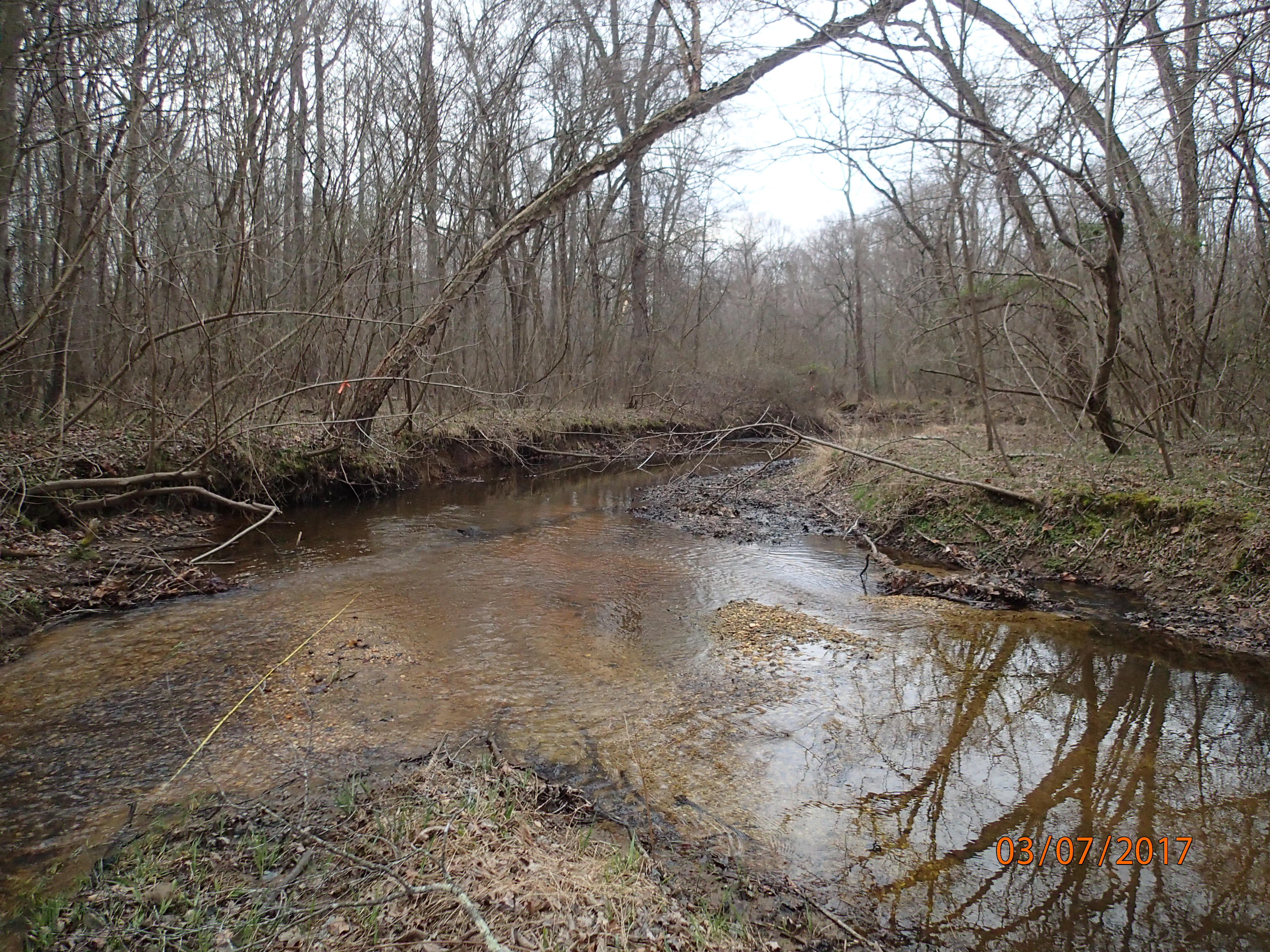 Field photo showing stream conditions at site PTOB-201-X-2017-MidpointDownstream