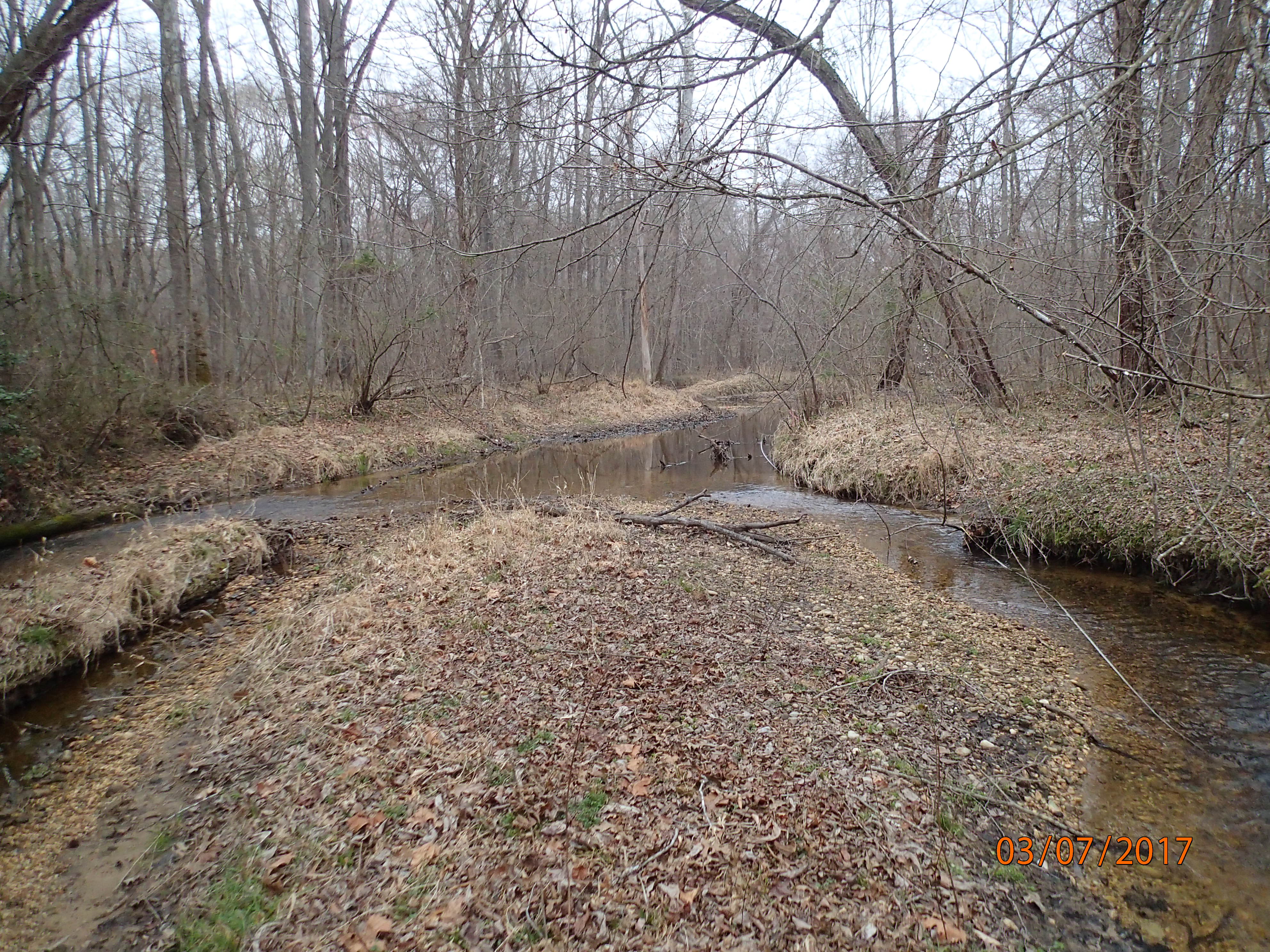 Field photo showing stream conditions at site PTOB-201-X-2017-MidpointUpstream