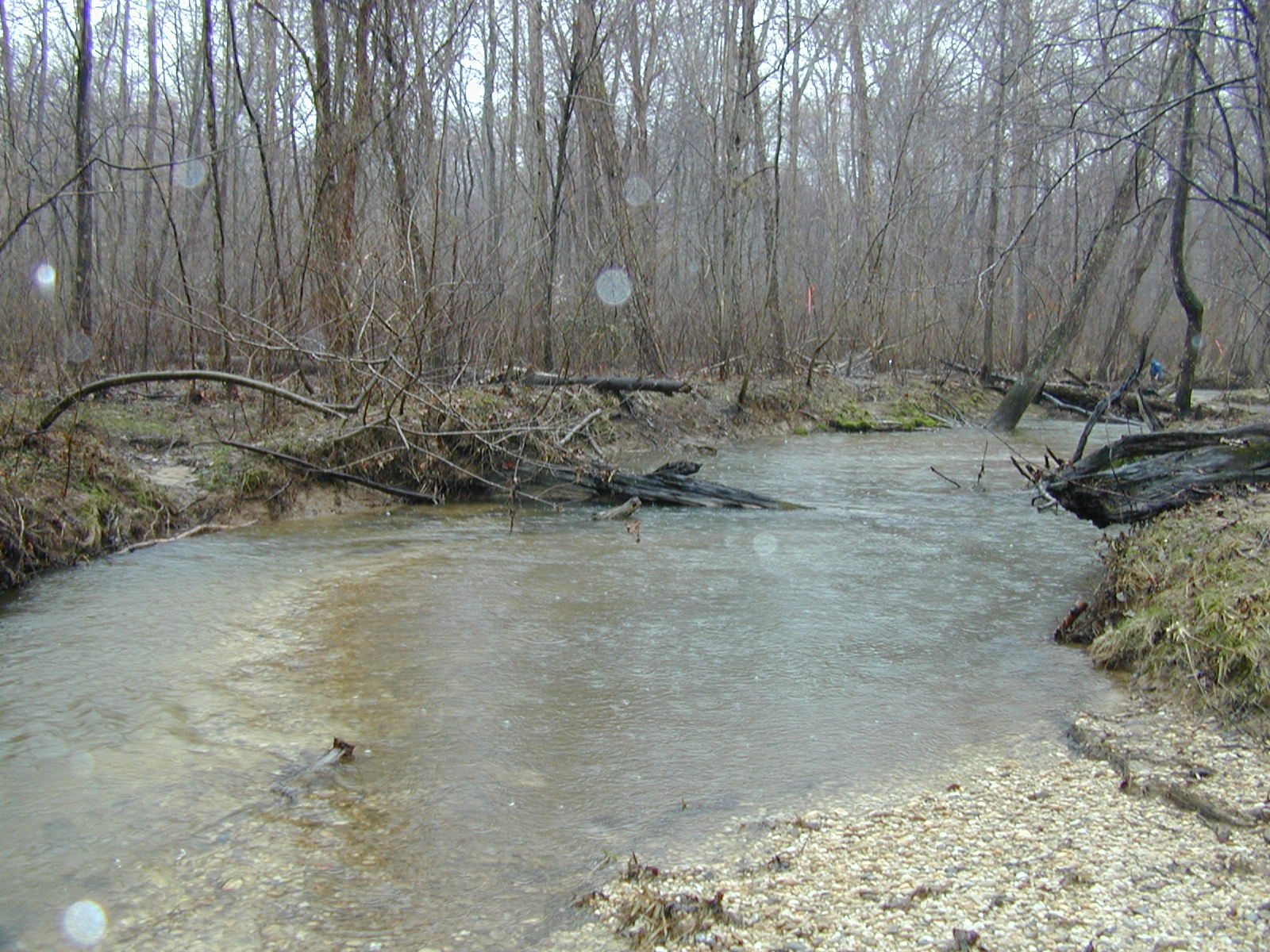 Field photo showing stream conditions at site PTOB-220-R-2003-717