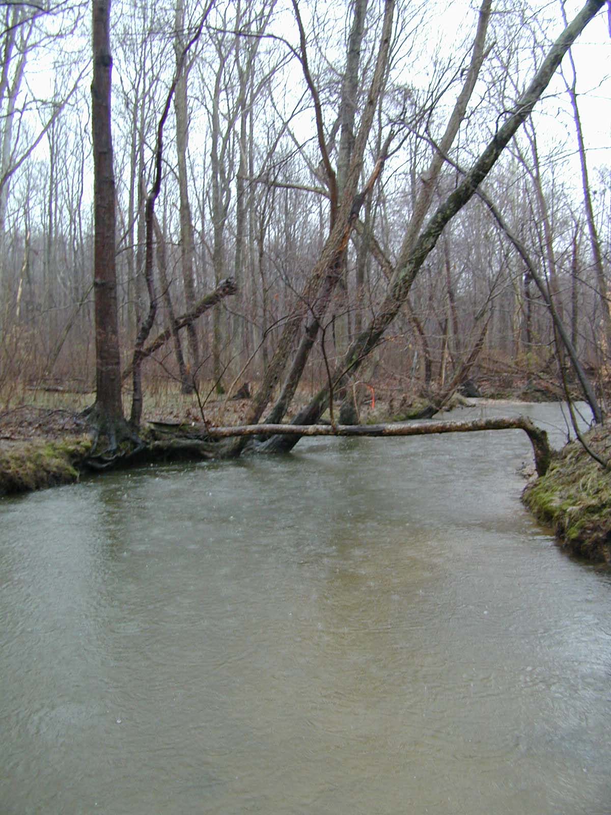 Field photo showing stream conditions at site PTOB-220-R-2003-718
