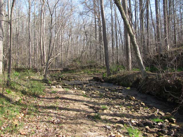 Field photo showing stream conditions at site RKGR-101-A-2012-1