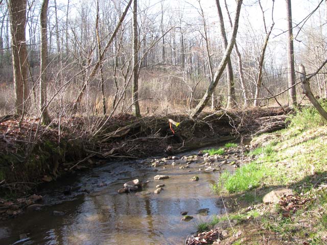 Field photo showing stream conditions at site RKGR-101-A-2012-2