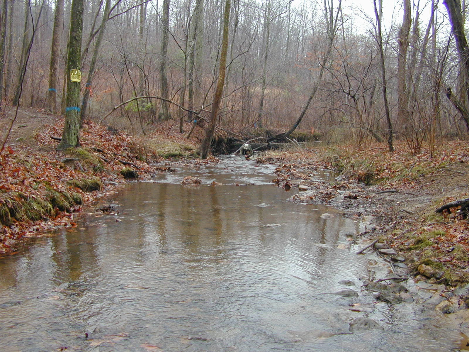 Field photo showing stream conditions at site RKGR-101-R-2002-1