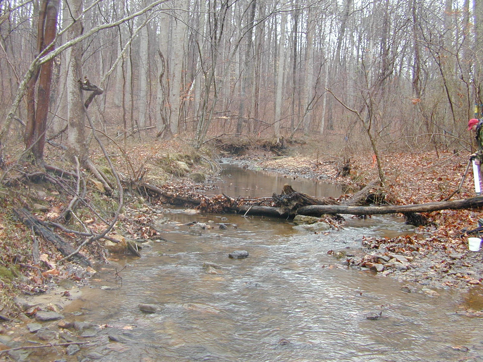 Field photo showing stream conditions at site RKGR-101-R-2002-2