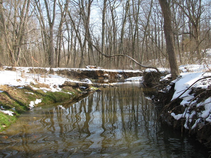 Field photo showing stream conditions at site RKGR-101-R-2009-1