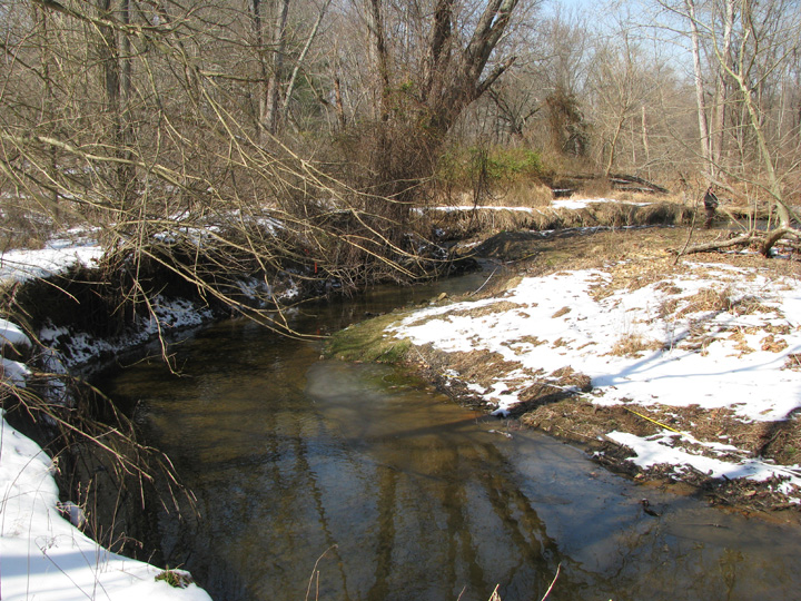 Field photo showing stream conditions at site RKGR-101-R-2009-2