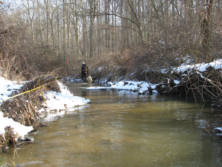 Field photo showing stream conditions at site RKGR-103-R-2009-1