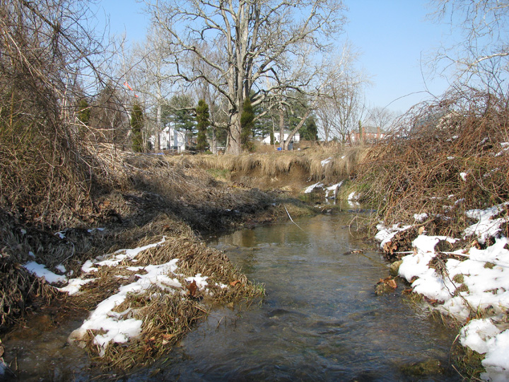 Field photo showing stream conditions at site RKGR-103-R-2009-2