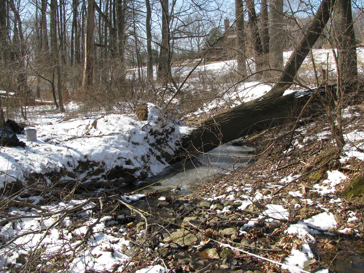 Field photo showing stream conditions at site RKGR-104-R-2009-1
