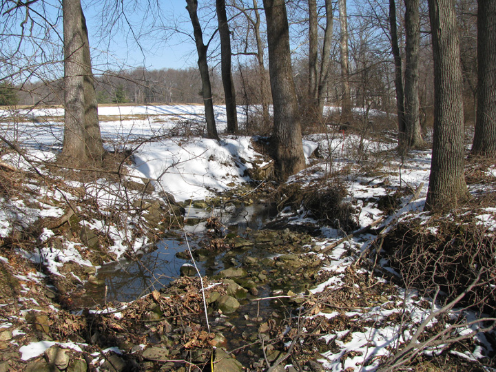 Field photo showing stream conditions at site RKGR-104-R-2009-2