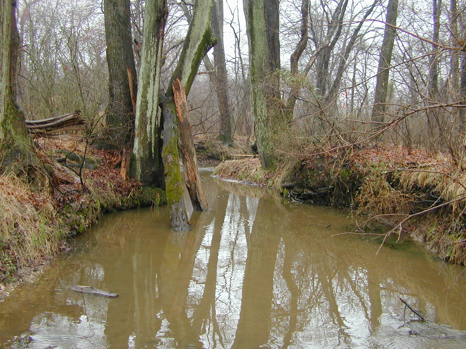 Field photo showing stream conditions at site RKGR-106-R-2002-1