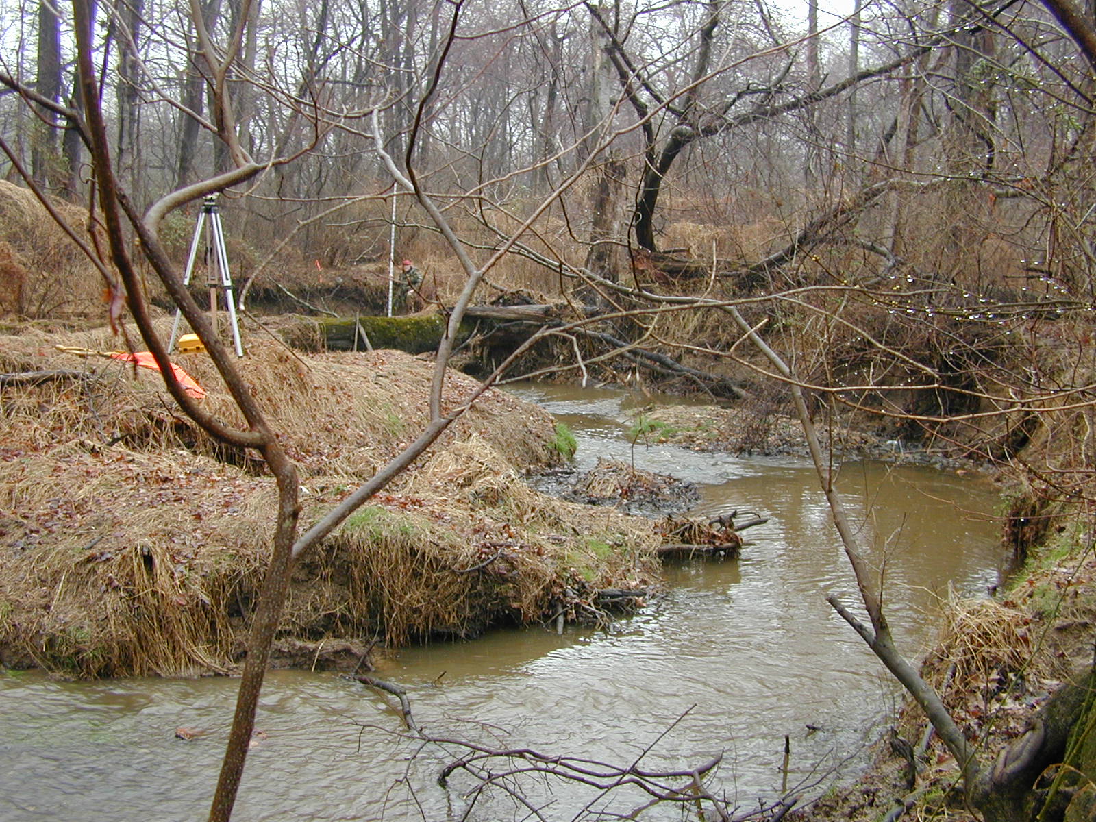 Field photo showing stream conditions at site RKGR-106-R-2002-2