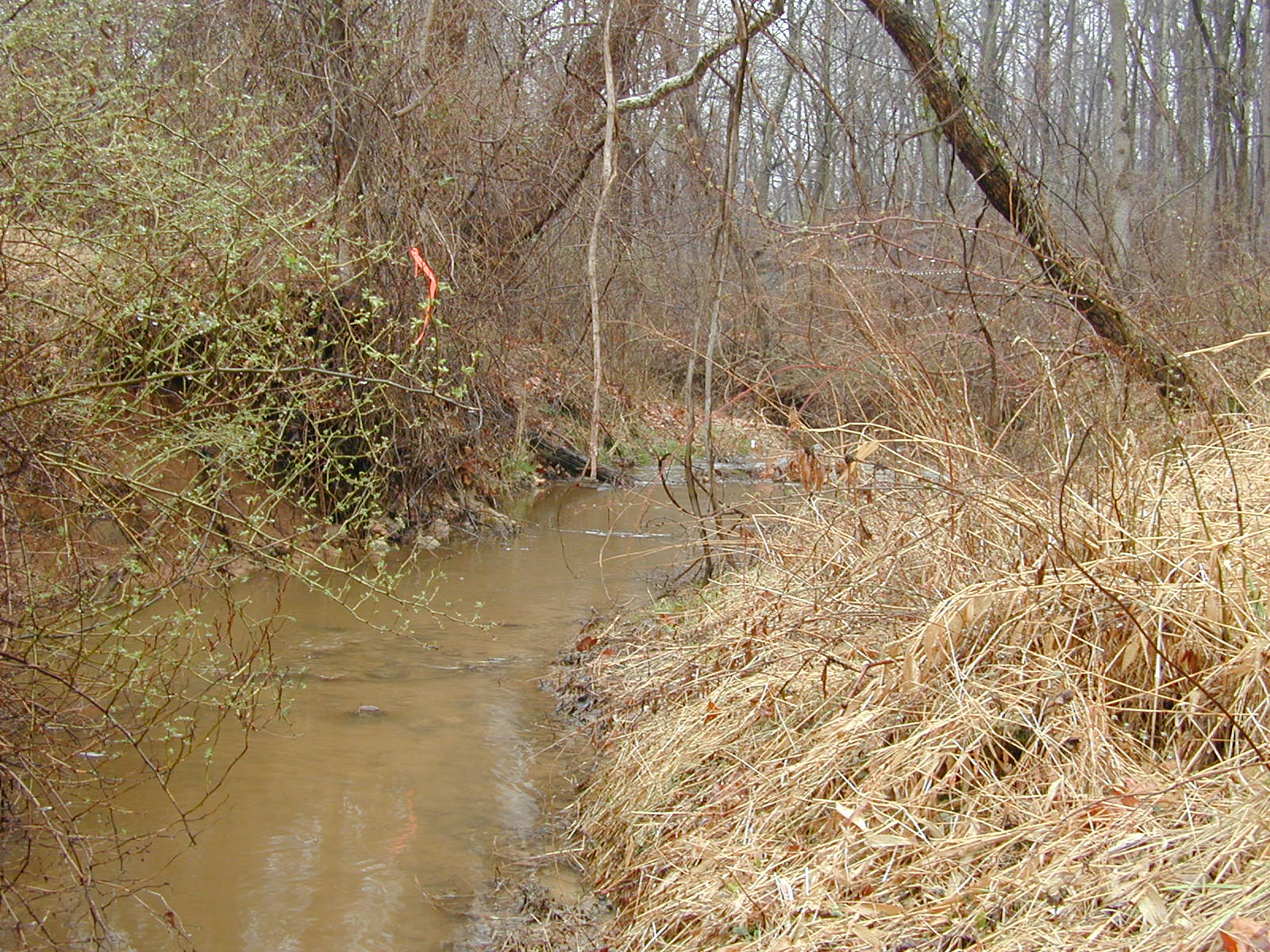 Field photo showing stream conditions at site RKGR-107-R-2002-1