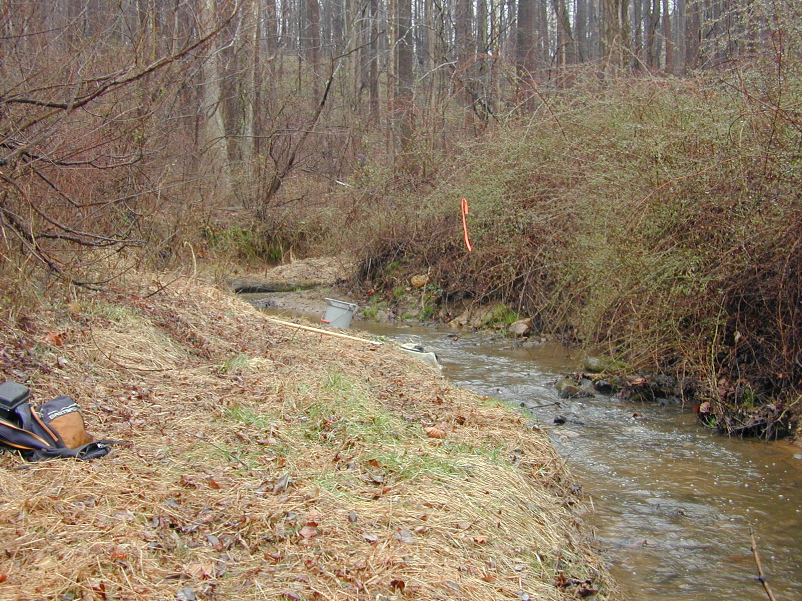 Field photo showing stream conditions at site RKGR-107-R-2002-2