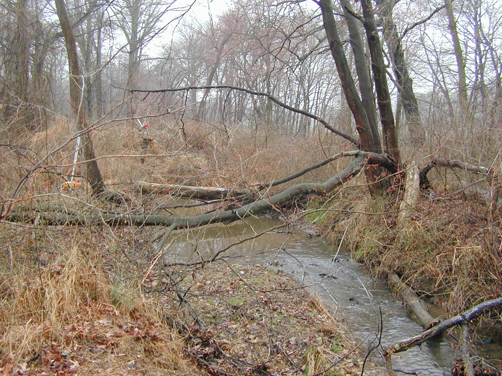 Field photo showing stream conditions at site RKGR-110-R-2002-1