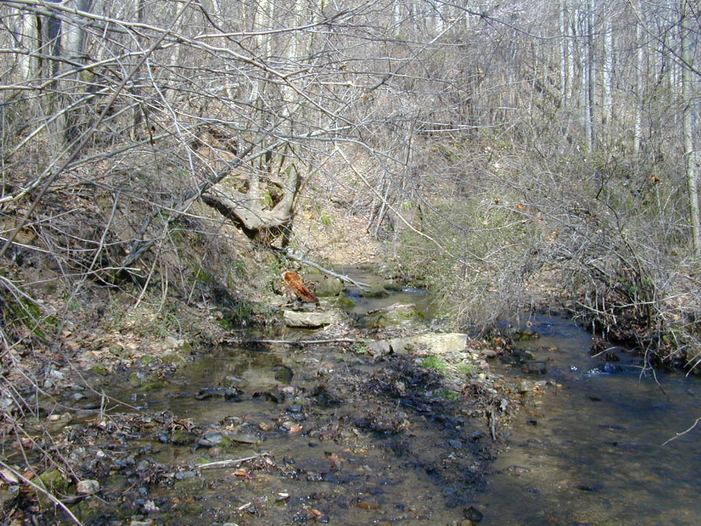 Field photo showing stream conditions at site RKGR-119-S-2000-01