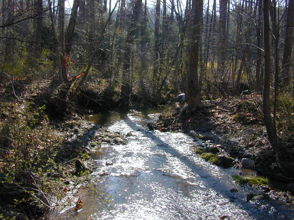 Field photo showing stream conditions at site RKGR-119-S-2000-02