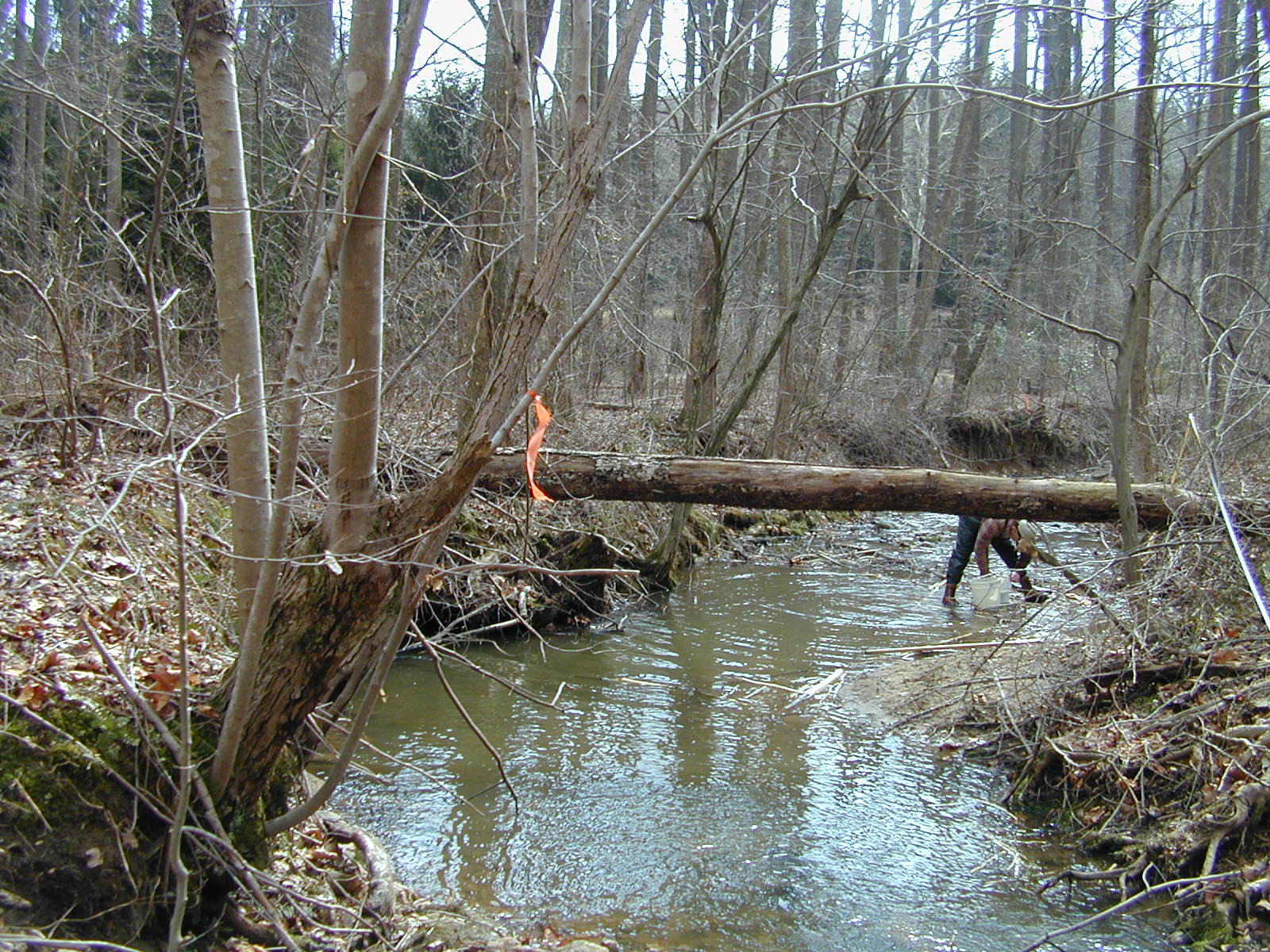 Field photo showing stream conditions at site RKGR-119-S-2001-2