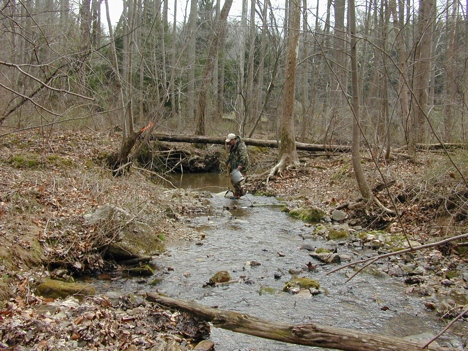 Field photo showing stream conditions at site RKGR-119-S-2002-2