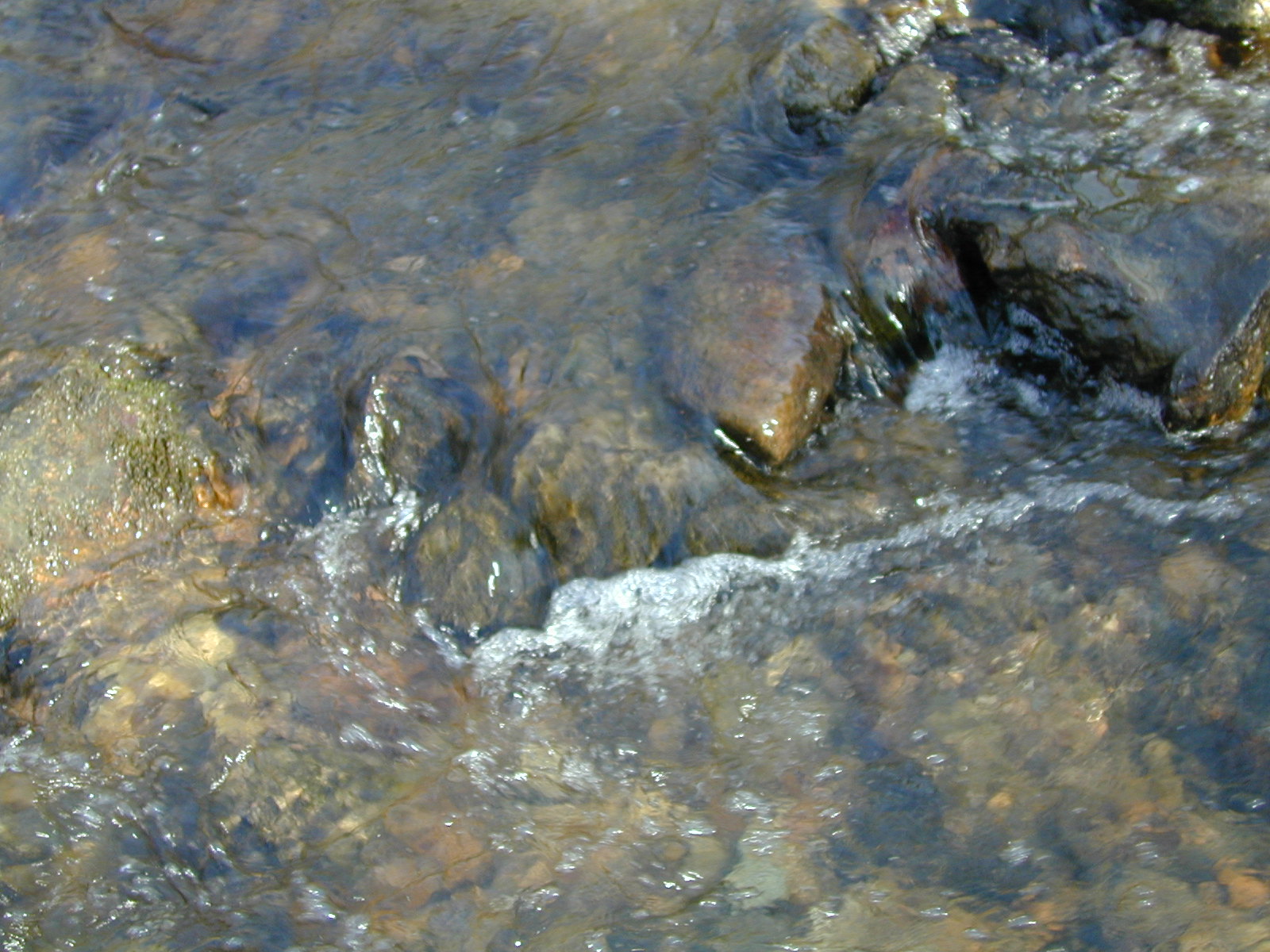 Field photo showing stream conditions at site RKGR-119-S-2003-761