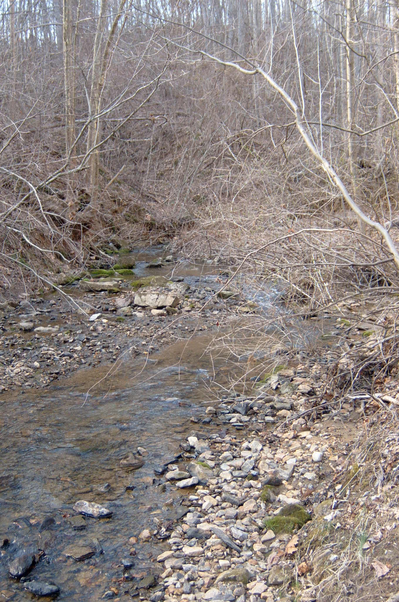 Field photo showing stream conditions at site RKGR-119-S-2004-11