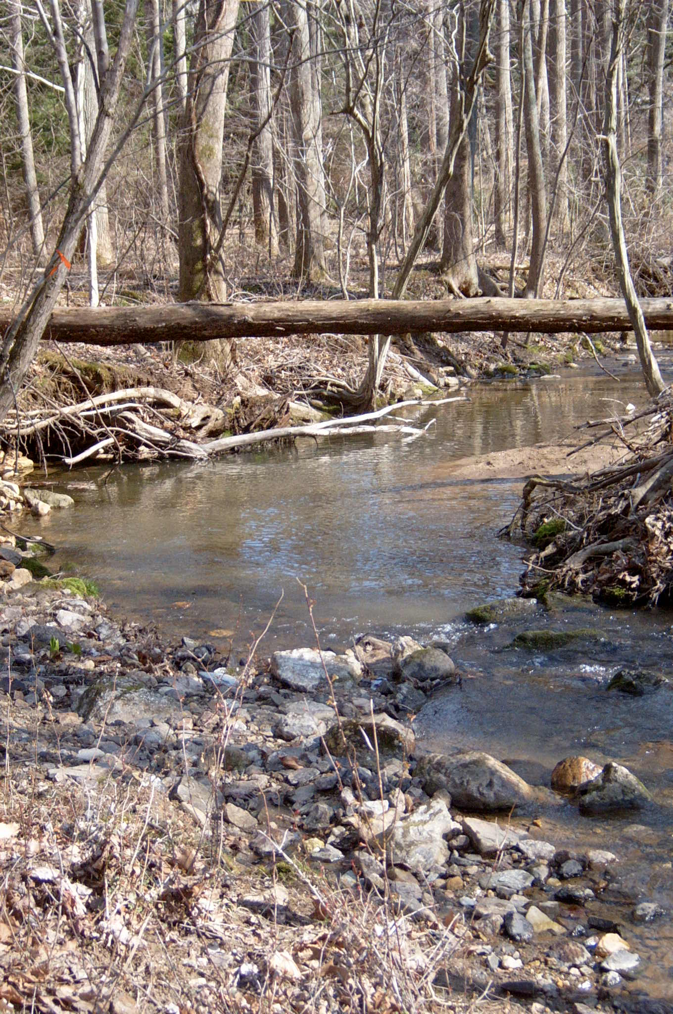 Field photo showing stream conditions at site RKGR-119-S-2004-12