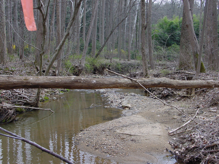 Field photo showing stream conditions at site RKGR-119-S-2007-1