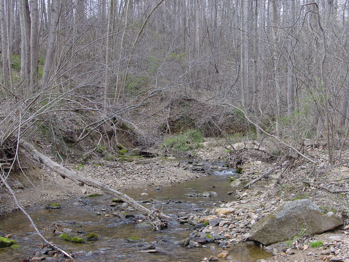 Field photo showing stream conditions at site RKGR-119-S-2007-2
