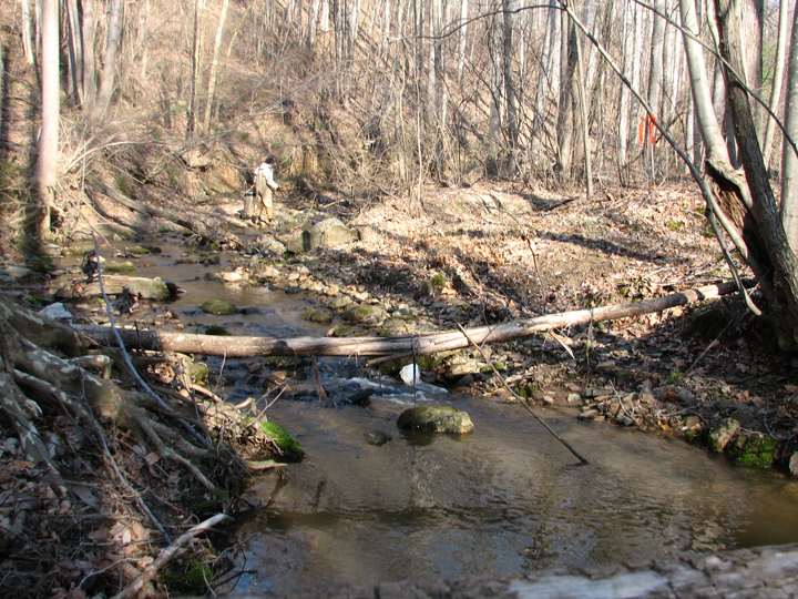 Field photo showing stream conditions at site RKGR-119-S-2008-1