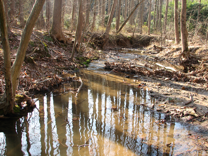 Field photo showing stream conditions at site RKGR-119-S-2008-2