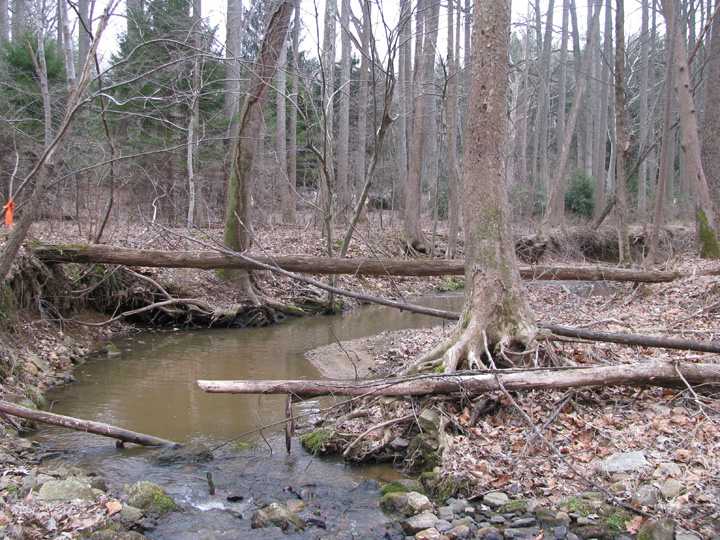 Field photo showing stream conditions at site RKGR-119-S-2009-1