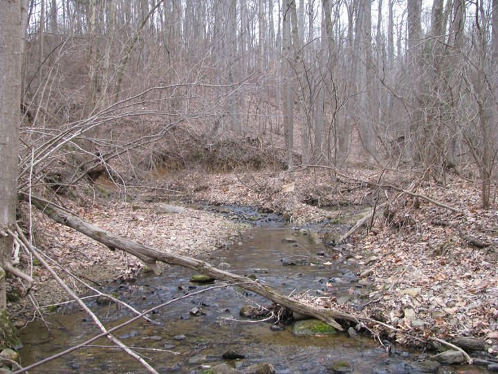 Field photo showing stream conditions at site RKGR-119-S-2009-2