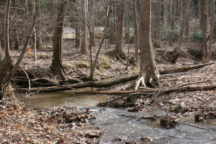 Field photo showing stream conditions at site RKGR-119-S-2011-1
