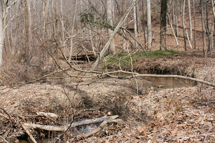 Field photo showing stream conditions at site RKGR-119-S-2011-2