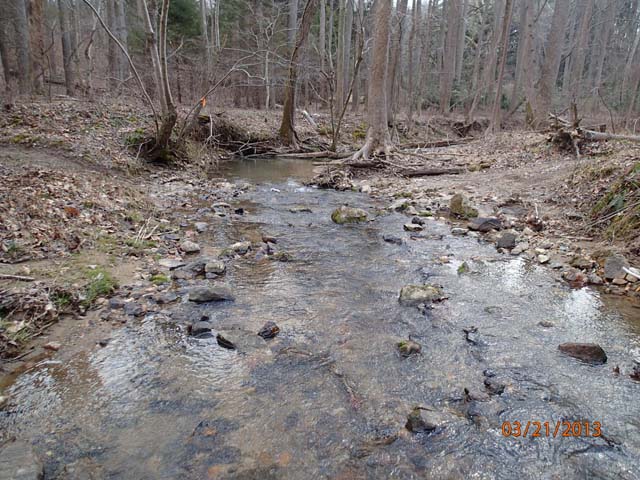 Field photo showing stream conditions at site RKGR-119-S-2013-MidpointPdownstream
